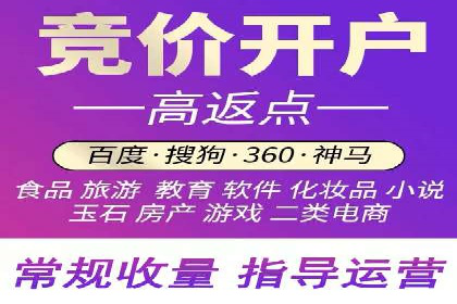 案例研究：竞价广告助力电商行业增长